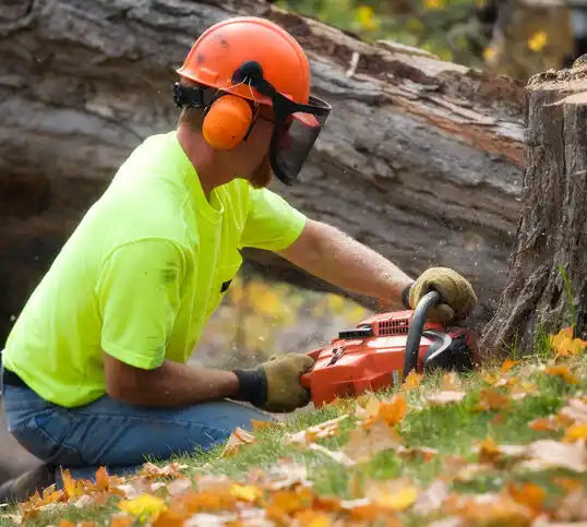 tree services Nowthen